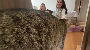 Sex Poetry Ends in Hardcore Sex Between Roommate