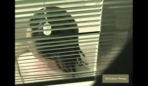 Window Peep