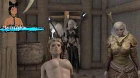 Skyrim B and L Mod - Traveling the Road and Staying at the Inn and Fucking in the Bed