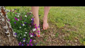 A Special Vid for the Fans of My Lovey Feet