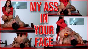 My ass in your face