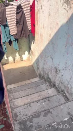 ??Le chacal del semáforo??