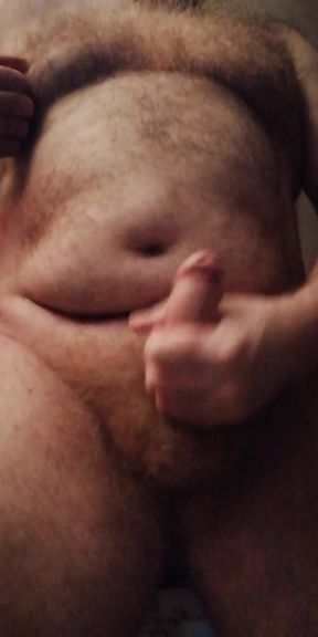 Wanking in My White Fruit of the Loom Briefs UK Hairy Daddy Bear