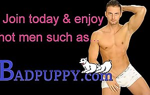Badpuppy's honey new duo, roco and petr