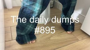 The daily dumps #895 mp4