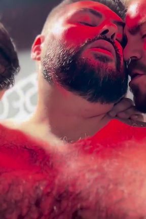 Naughty Bears at Rectum