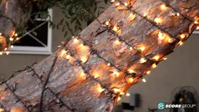 Codi wants to come over and play