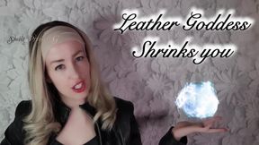 Leather Goddess Shrinks you