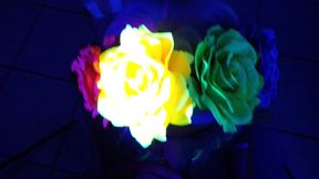 Black Light Cock Sucking