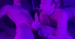 Well Trained Cat Girls Drain Your Balls Every Night