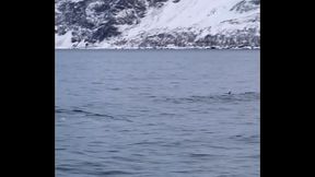 Le lendemain debout &agrave_ 6h alors que nous nous &eacute_tions couch&eacute_s &agrave_ 2h30 pour ...