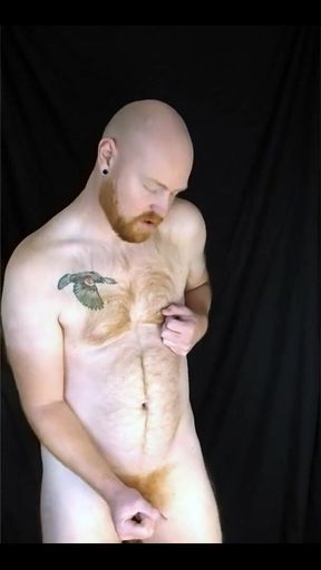 You Like Lookin' at This Fuzzy Ginger Fella?