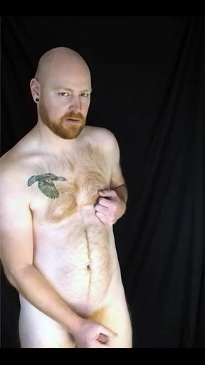 You Like Lookin' at This Fuzzy Ginger Fella?