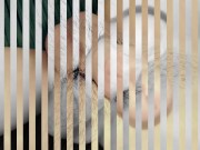 clip photo:22.