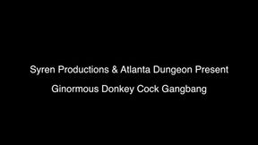 Gi-Normous Donkey Cock Gang Bang (720p)