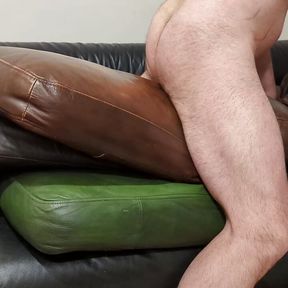 Humping and cum on my leather cushions