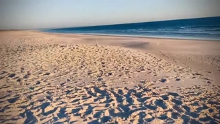 Frotting cocks with huge cums in a paradise beach at sunset