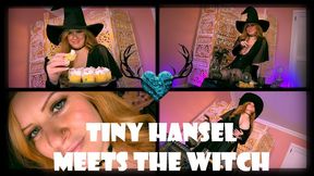 Tiny Hansel Meets The Witch 1080 MP4