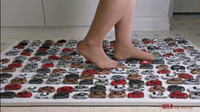 Mila and 200 cars - nylon (view01)