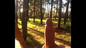 Masturbando no parque no final de tarde