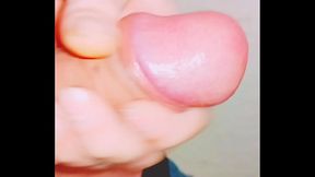 Uncircumcised penis foreskin