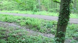 Ass Spanking near Bike path - directors cut