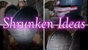 Shrunken Ideas