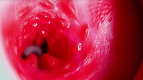 Juicy beautiful pussy squelches inside ASMR close-up inside the anus