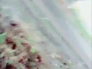 Slutboyben CAM4 Sexy Cruising Chick XXIII
