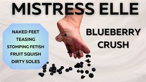 Blueberry Crush