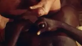 Falcon Studios: A Tale of Dark Desires