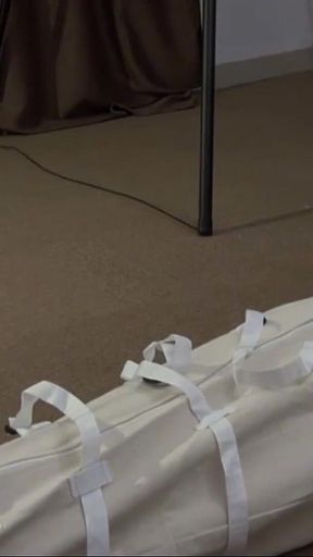 Emerging From the Cocoon