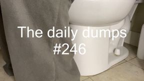 The daily dumps #246 mp4