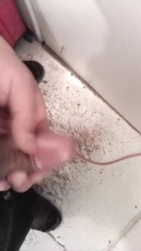 Playing in the bathroom with pene