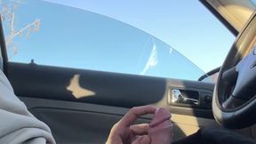 Amateur couple engages in public cock play at cruising park