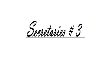 Secretaries 3 (full movie)
