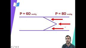 anatomia valvulas cardiacas
