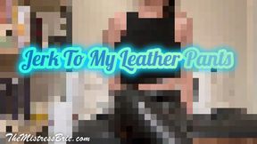 Jerk To My Leather Pants (Pixelated)