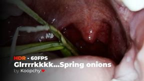 [HDR 60FPS] - Spring onions sliding down my throat (Swallowing + Stomach view) - ENDOSCOPE VORE