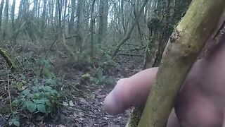 Forest Handjob