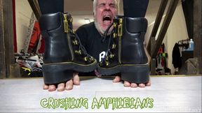 LADY SCARLET - CRUSHING AMPHIBIANS mobile
