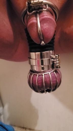 Chastity slave inspected before play