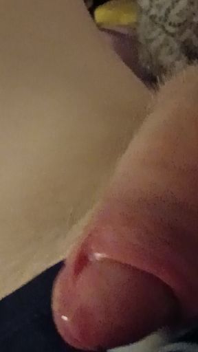Jerking My Cock and Cum
