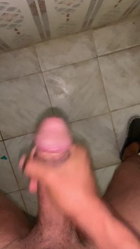 Jerking in a Public Toilet