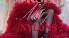 Worship My Nylons