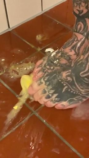 Feet Vs. Raw Egg