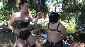 LADY SCARLET - CHASTITY, TEASING, RUINED ORGASM hd - STUZZICARE, CASTITA' ED ORGASMO ROVINATO