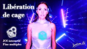 Jeu vidéo interactif libération de cage