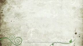 Panyhose Hooters Girl Legs