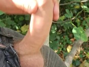 Working on a farm and almost caught masturbating up a tree with cum shot